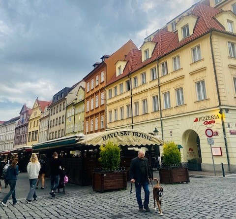 , Discovering Prague: A Journey Through the City of a Hundred Spires