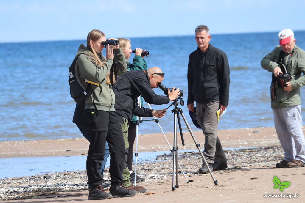 Slitere Birdwatching