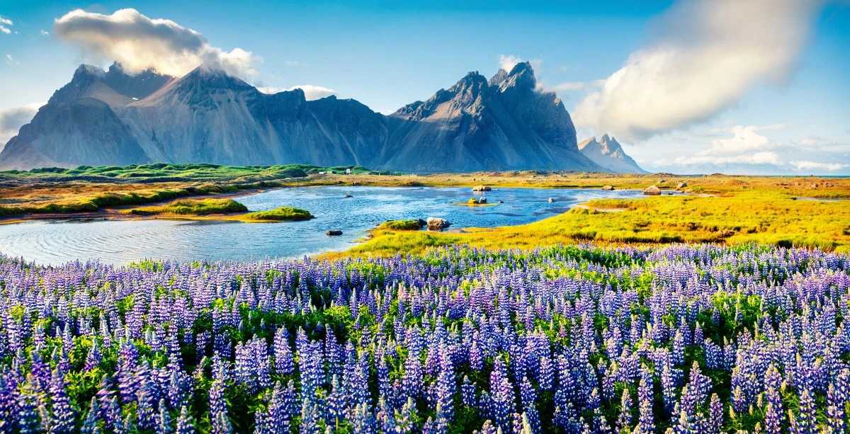 Iceland in Summer