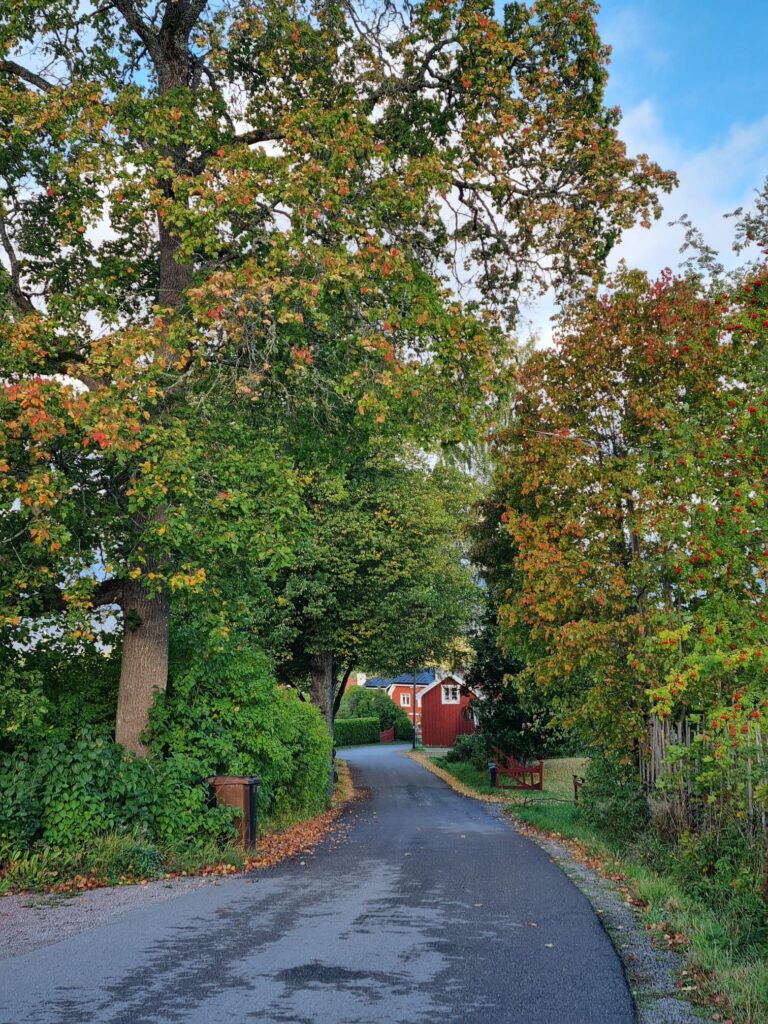 Autumn colours in Tällberg