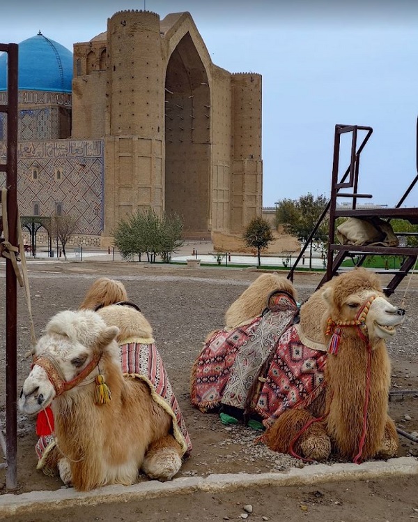 Turkistan Mausoleum of Ahmed Yesevi Camels