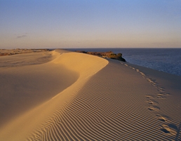 The Curonian spit in Lithuania | Curonian spit information ...