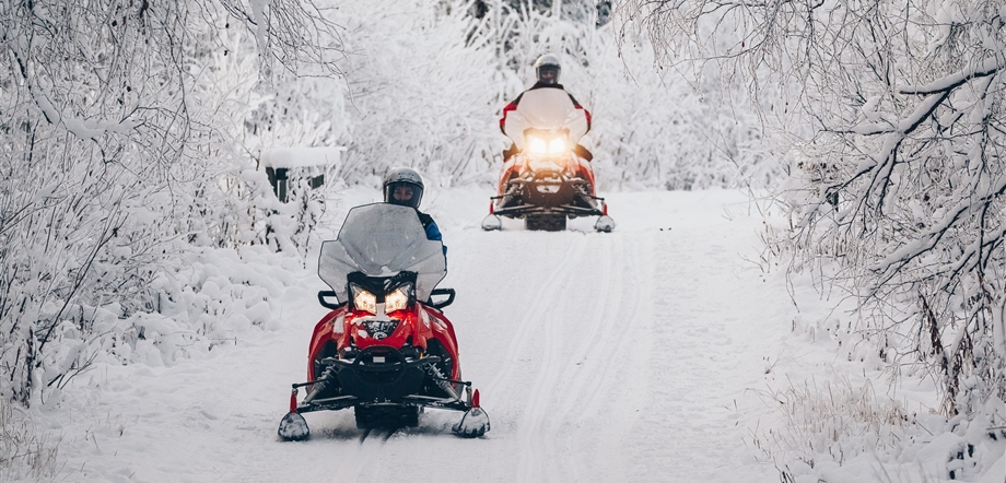 Apukka Snowmobile Adventure